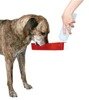 Bidon dla psa, butelka z miską na wodę dla psa 250 ml