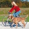Smycz dla psa z amortyzatorem do jazdy na rowerze i biegania